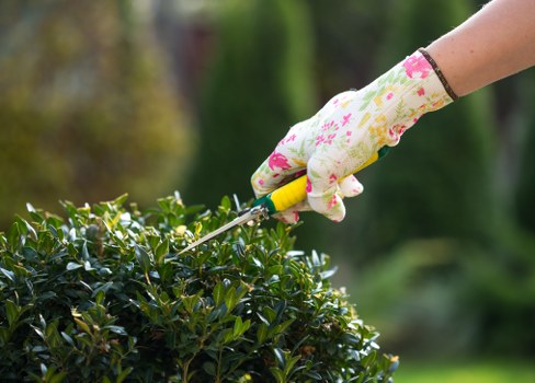 Professional gardener working in a Croydon garden
