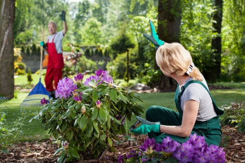 Professional gardeners working in a lush Croydon garden