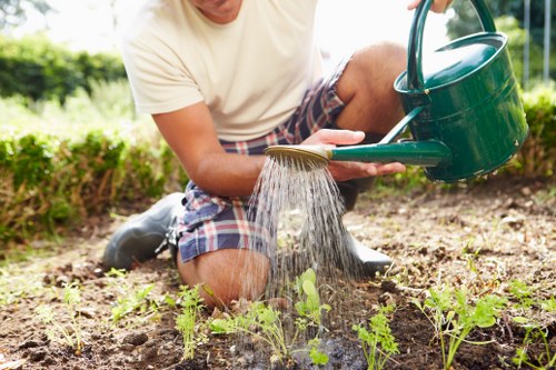 Experienced Croydon tree cutting experts at work