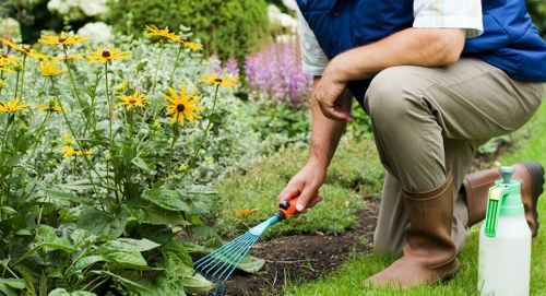 Eco-friendly gardening practices in Croydon