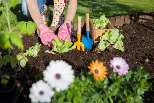 Sustainable gardening practices by Croydon gardeners