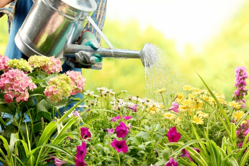 Professional gardener maintaining a lush Croydon garden