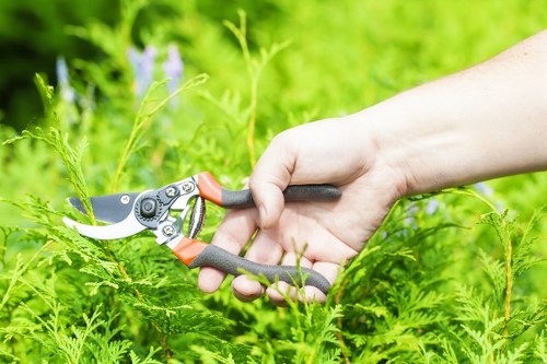 Professional landscapers working on a front yard makeover in Croydon