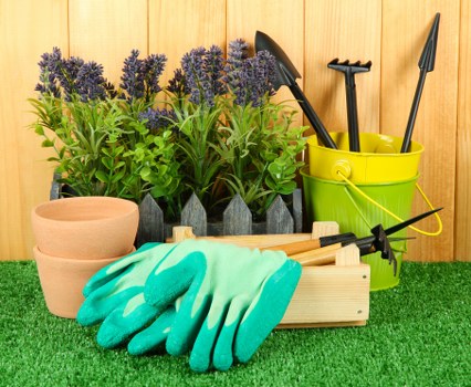 Gardener watering plants in Croydon during summer