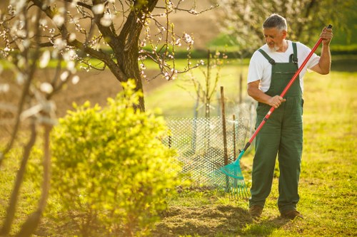 Selection of native plants suitable for Croydon gardens