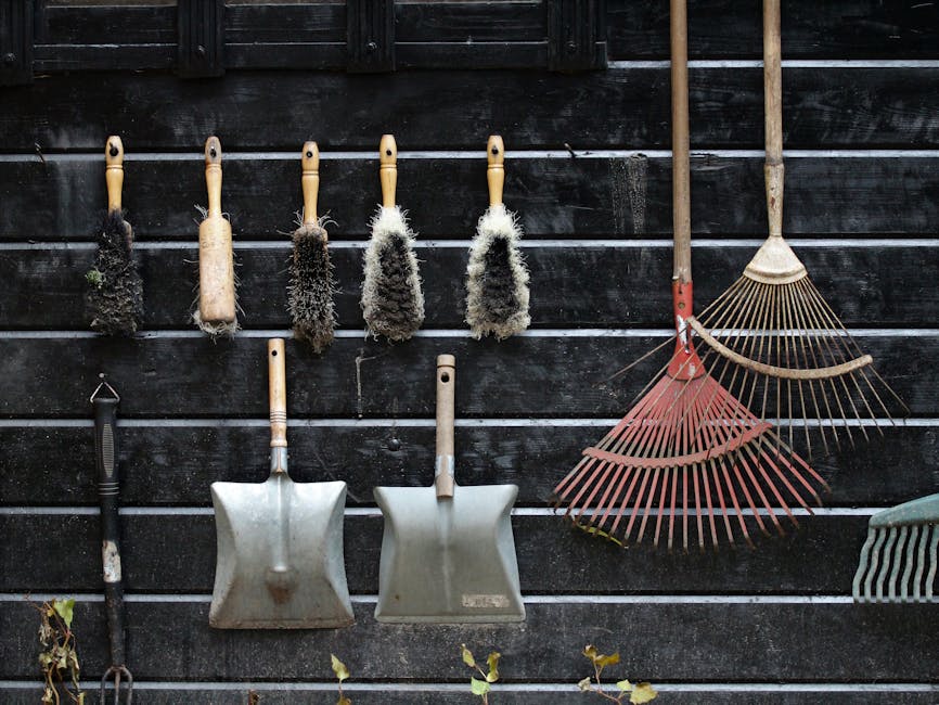 A collection of gardening tools hanging on a dark wooden fence, including five hand brushes with wooden handles and fibrous heads used for cleaning or pruning, two metal shovels with wooden handles pl