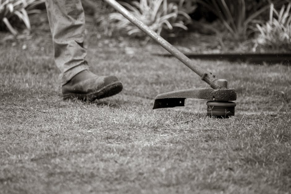 A collection of gardening tools hanging on a dark wooden fence, including five hand brushes with wooden handles and fibrous heads used for cleaning or pruning, two metal shovels with wooden handles pl